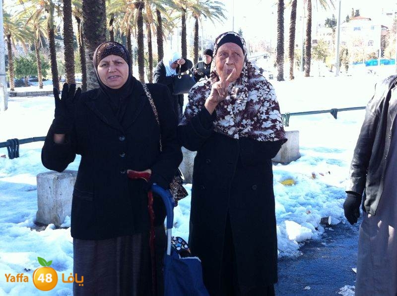 yaffa byareq (9).jpg